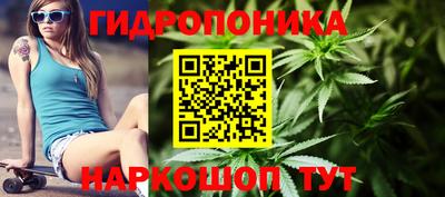 гидра Краснодар